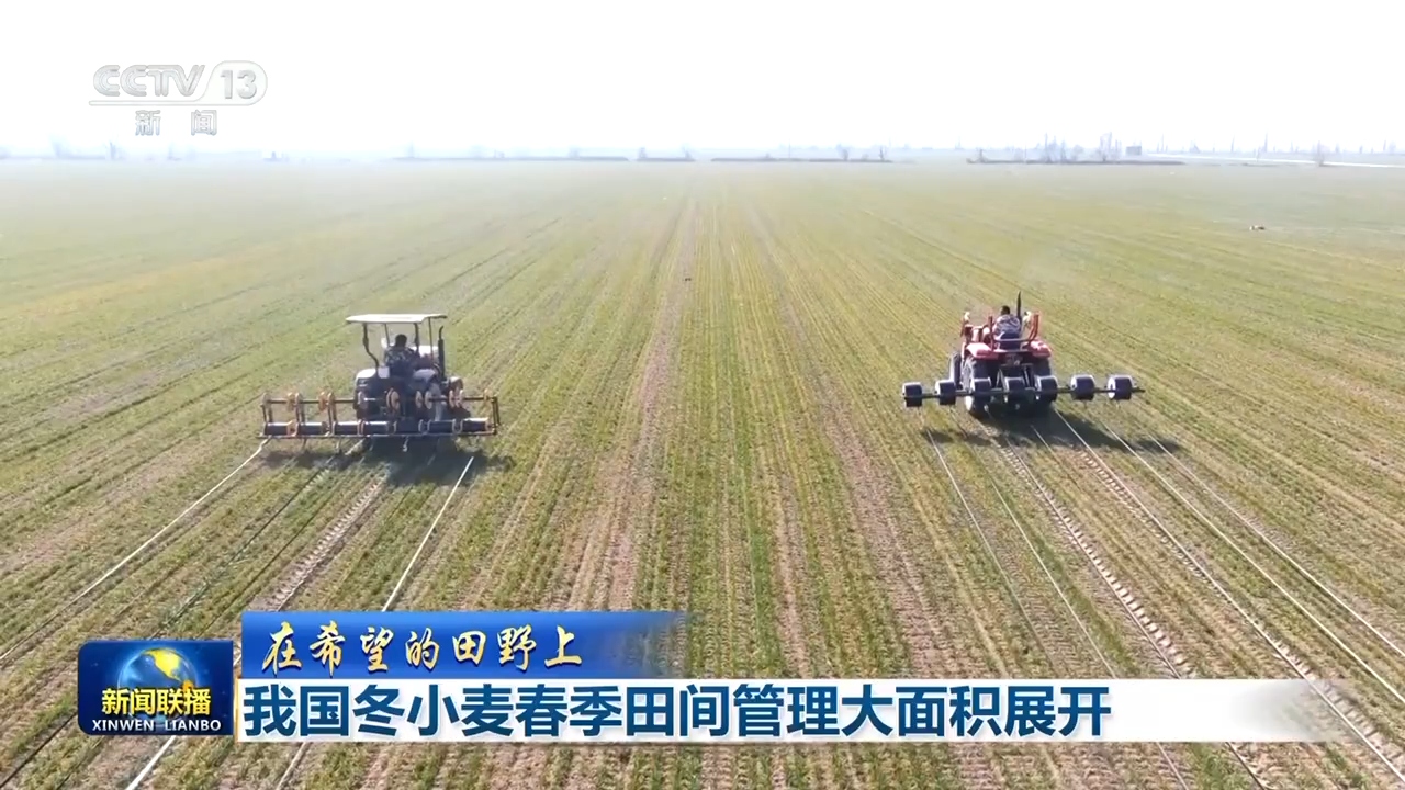 
东直门医院黄牛代挂号电话票贩子号贩子网上预约挂号,住院检查加快,【在希望的田野上】我国冬小麦春季田间管理大面积展开