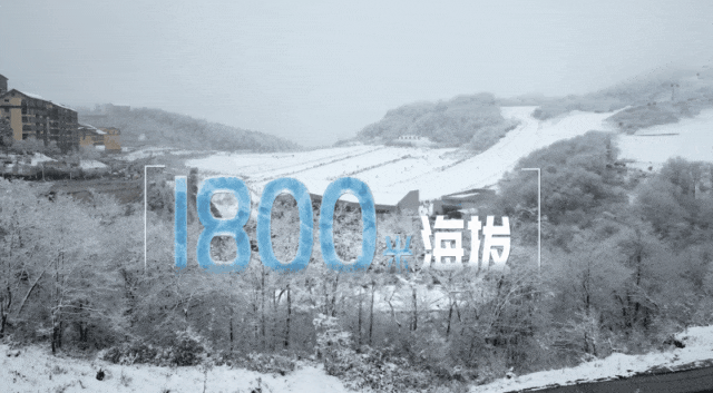 
西安各大医院黄牛代挂号电话票贩子号贩子网上预约挂号,住院检查加快,这项经济发展的长期战略之举，与你有关！