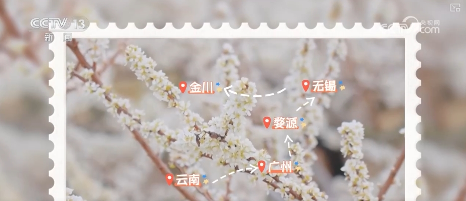 
广州市第一人民医院黄牛代挂号电话票贩子号贩子网上预约挂号,住院检查加快,鲜花争“鲜”绽放带暖美丽经济 “赏花+”扮“靓”经济新增长点