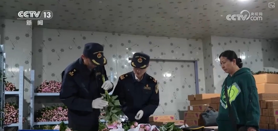 
广州市第一人民医院黄牛代挂号电话票贩子号贩子网上预约挂号,住院检查加快,鲜花争“鲜”绽放带暖美丽经济 “赏花+”扮“靓”经济新增长点