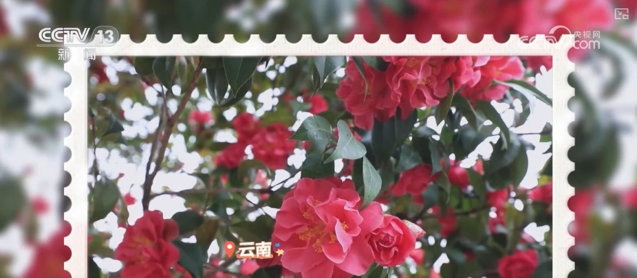 
广州市第一人民医院黄牛代挂号电话票贩子号贩子网上预约挂号,住院检查加快,鲜花争“鲜”绽放带暖美丽经济 “赏花+”扮“靓”经济新增长点