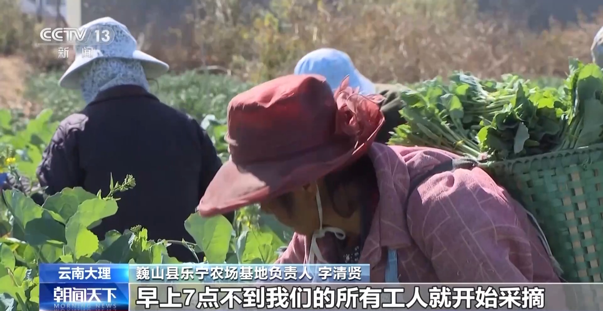 
中国中医科学院广安门医院黄牛代挂号电话票贩子号贩子网上预约挂号,住院检查加快,“舌尖上的春天”你尝到了吗？一起看春菜抢“鲜”之旅