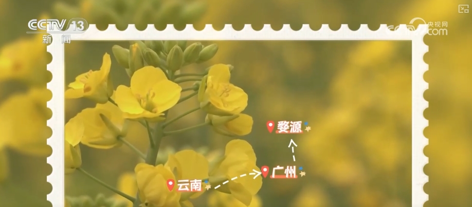 
广州市第一人民医院黄牛代挂号电话票贩子号贩子网上预约挂号,住院检查加快,鲜花争“鲜”绽放带暖美丽经济 “赏花+”扮“靓”经济新增长点