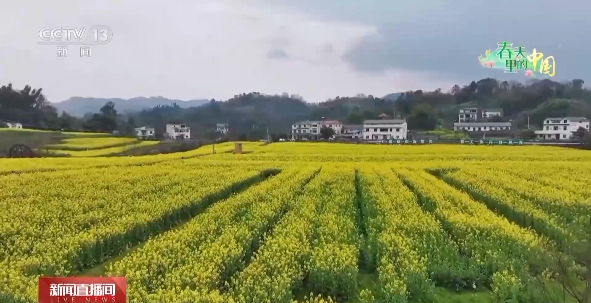 
广州中山一院黄牛代挂号电话票贩子号贩子网上预约挂号,住院检查加快,接下来，花海美照将霸屏！到这些好去处打卡春日浪漫
