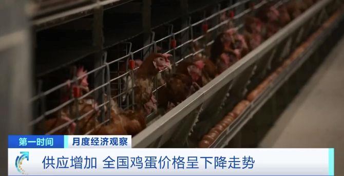 
广州市越秀区中医医院黄牛号贩子挂号电话需求减少、供应增加 全国鸡蛋价格呈下降走势