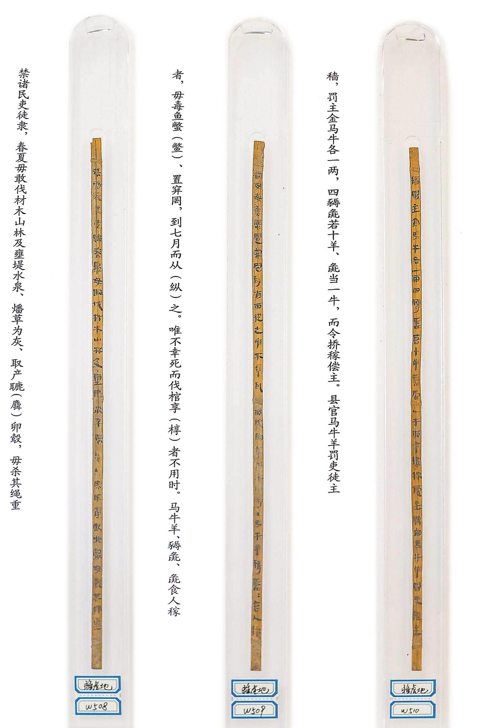 
北京肿瘤医院黄牛代挂号电话票贩子号贩子网上预约挂号,住院检查加快,五省党报联动|简传千年 品“牍”中国