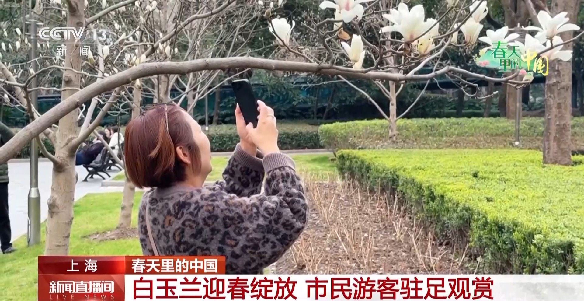 
广州中山一院黄牛代挂号电话票贩子号贩子网上预约挂号,住院检查加快,接下来，花海美照将霸屏！到这些好去处打卡春日浪漫