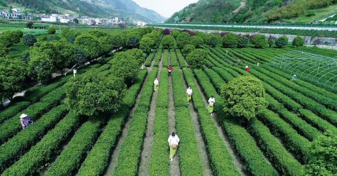 
中国人民解放军总医院黄牛代挂号电话票贩子号贩子网上预约挂号,住院检查加快,习近平与美丽中国建设丨“人不负青山，青山定不负人”