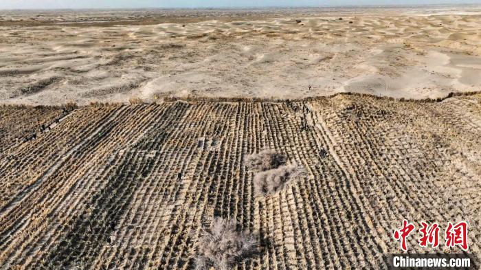 
广州中医院黄牛代挂号电话票贩子号贩子网上预约挂号,住院检查加快,从“沙进人退”到“人沙和谐”，新疆何以在“死亡之海”书写绿色“奇迹”？