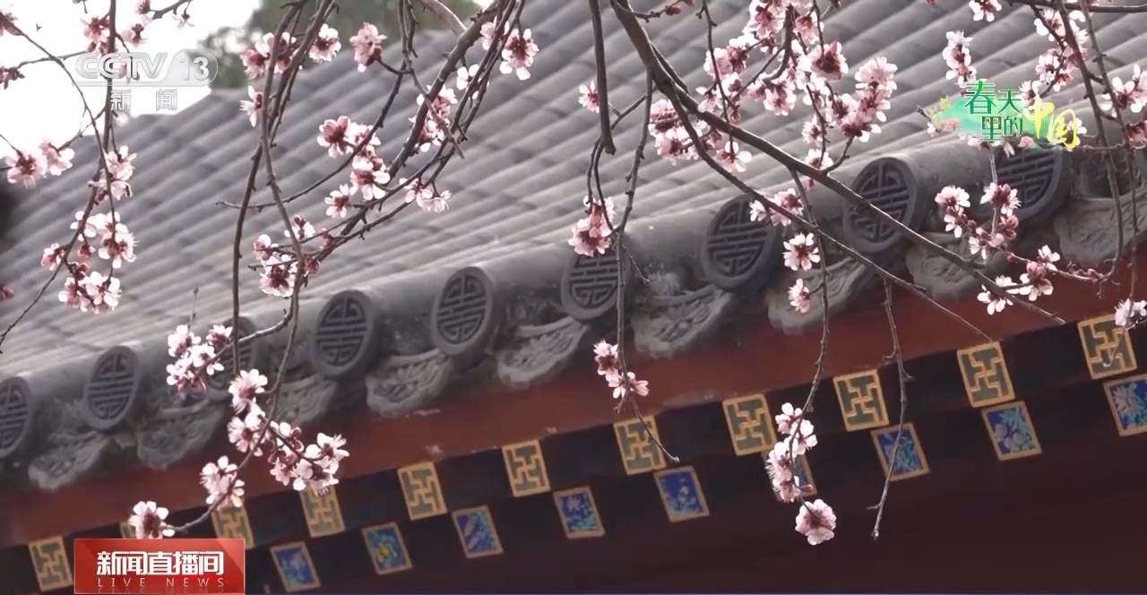 
广州医科大学附属第二医院黄牛代挂号电话票贩子号贩子网上预约挂号,住院检查加快,“花式”报春 万物复苏 各地春色醉游人