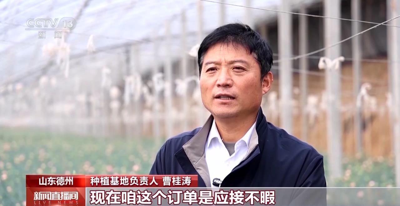 
广州医科大学附属第二医院黄牛代挂号电话票贩子号贩子网上预约挂号,住院检查加快,“花式”报春 万物复苏 各地春色醉游人