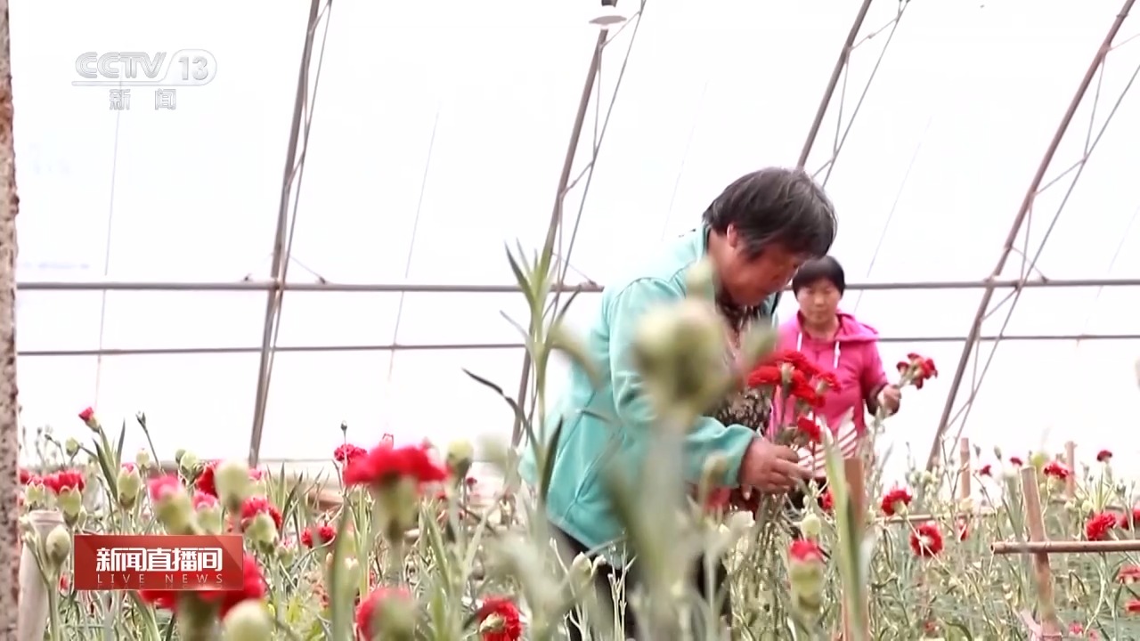 
广州医科大学附属第二医院黄牛代挂号电话票贩子号贩子网上预约挂号,住院检查加快,“花式”报春 万物复苏 各地春色醉游人