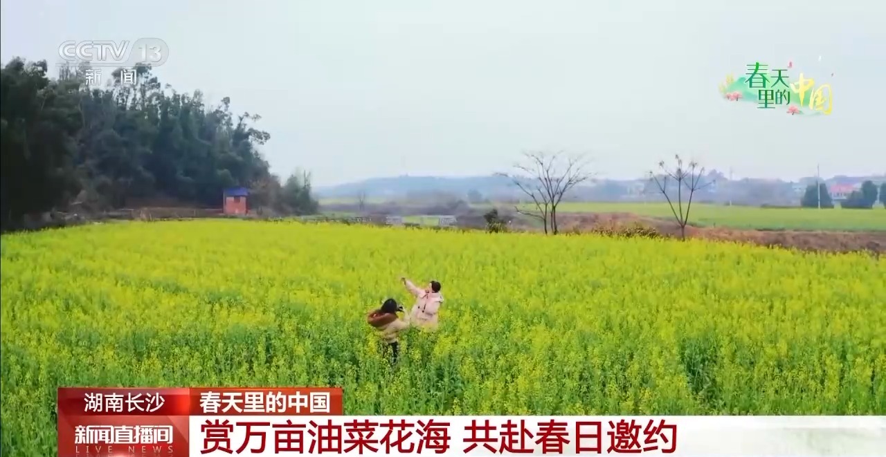 
广州医科大学附属第二医院黄牛代挂号电话票贩子号贩子网上预约挂号,住院检查加快,“花式”报春 万物复苏 各地春色醉游人