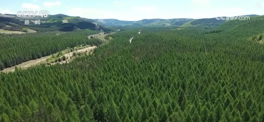 
广州中医药大学一附医院黄牛代挂号电话票贩子号贩子网上预约挂号,住院检查加快,1亿、1000万、10.17万亿……“数”说中国增绿两个“最”