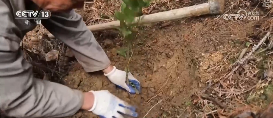 
广州中医药大学一附医院黄牛代挂号电话票贩子号贩子网上预约挂号,住院检查加快,1亿、1000万、10.17万亿……“数”说中国增绿两个“最”
