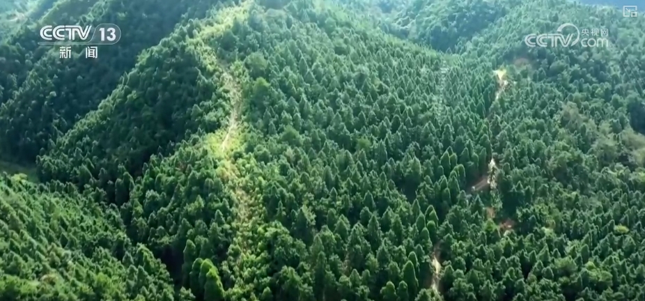 
广州中医药大学一附医院黄牛代挂号电话票贩子号贩子网上预约挂号,住院检查加快,1亿、1000万、10.17万亿……“数”说中国增绿两个“最”