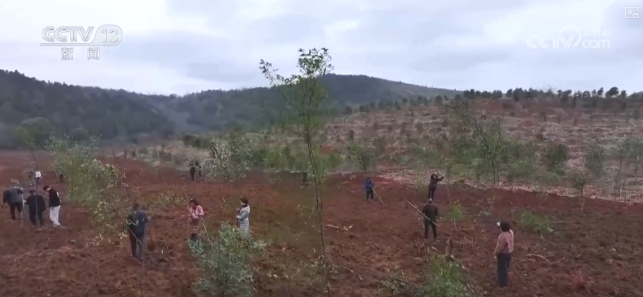 
广州中医药大学一附医院黄牛代挂号电话票贩子号贩子网上预约挂号,住院检查加快,1亿、1000万、10.17万亿……“数”说中国增绿两个“最”