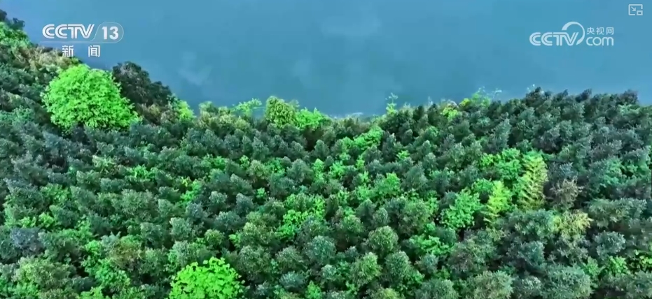 
广州中医药大学一附医院黄牛代挂号电话票贩子号贩子网上预约挂号,住院检查加快,1亿、1000万、10.17万亿……“数”说中国增绿两个“最”