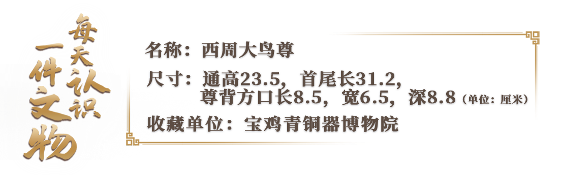 
杭州市七医院黄牛代挂号电话票贩子号贩子网上预约挂号,住院检查加快,文博日历丨三只脚的小鸟你见过吗？自带呆萌属性