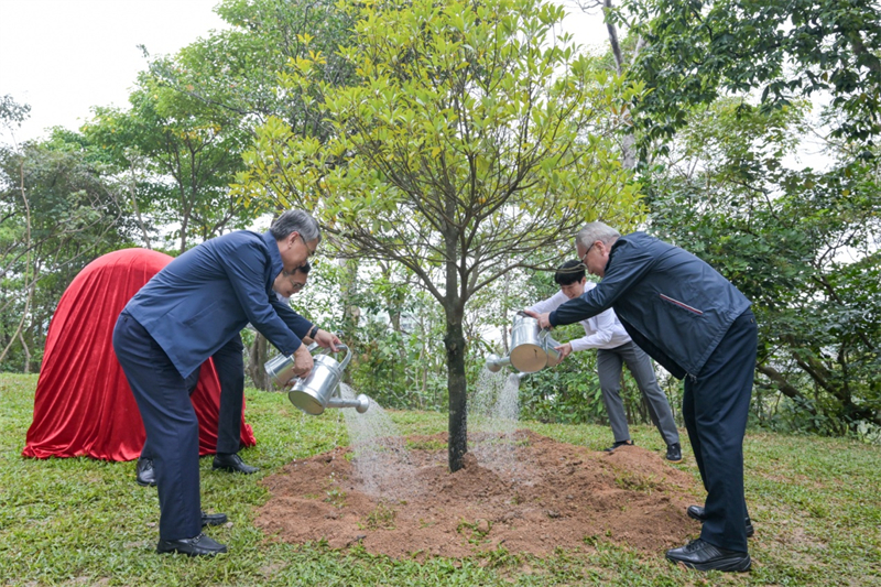 
玉泉医院黄牛号贩子票贩子代网上预约代挂号电话澳门特区行政长官植树节栽种中华楠