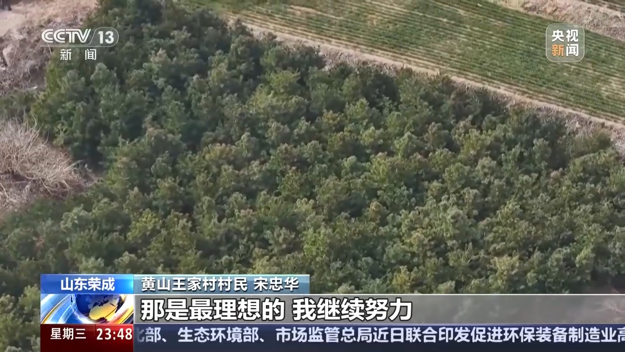 
上海新华医院黄牛代挂号电话票贩子号贩子网上预约挂号,住院检查加快,81岁宋忠华植树二十载 无偿捐赠价值近百万红松树