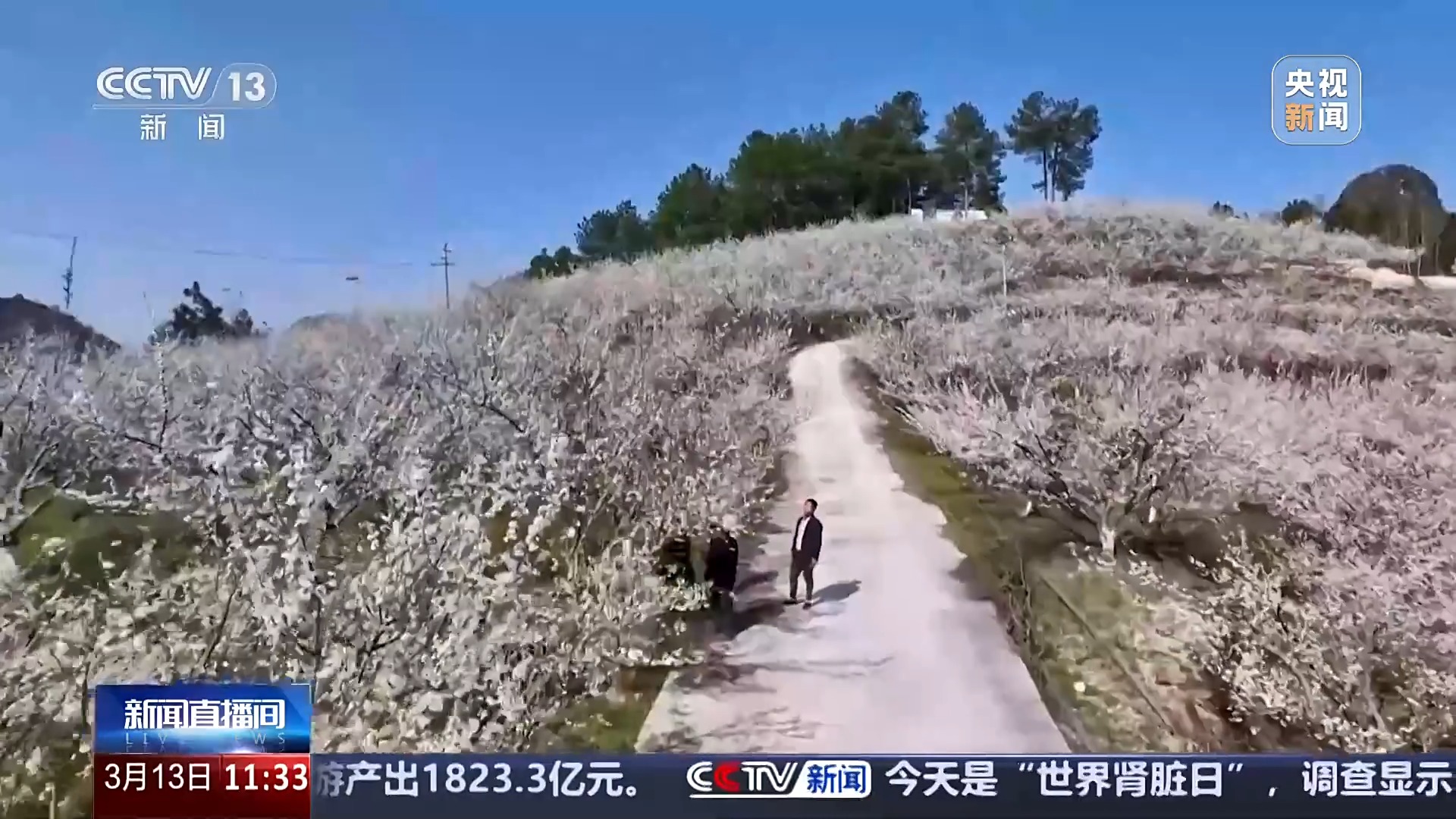 
南京医科大学第二附属医院黄牛号贩子挂号电话赏花经济拉动双重效益 春耕备耕还有这些“法宝”