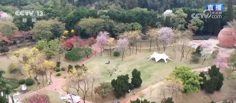 
首都医科大学附属儿童医院黄牛代挂号电话票贩子号贩子网上预约挂号,住院检查加快,沉浸式感受春日花海独特魅力 “赏花经济”为乡村振兴“增香添彩”