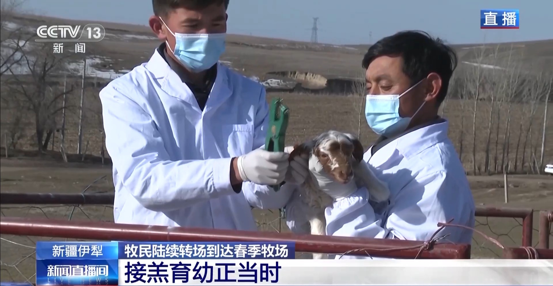 
广东省中医院黄牛代挂号电话票贩子号贩子网上预约挂号,住院检查加快,羊咩咩穿上了高科技“新衣”！来看新疆伊犁河谷牲畜春季转场