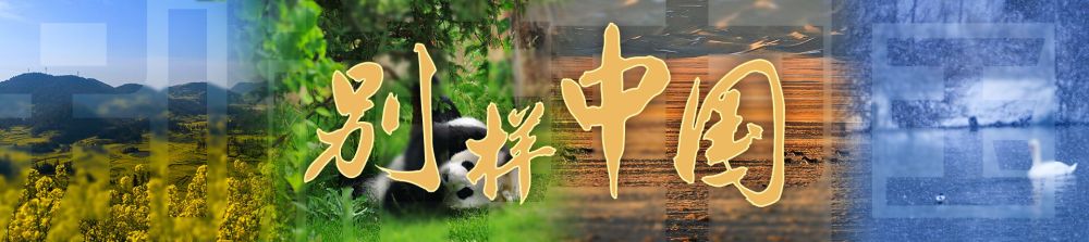 
沈阳各大医院黄牛代挂号电话票贩子号贩子网上预约挂号,住院检查加快,别样中国｜天地启春色，万象共“耕”新