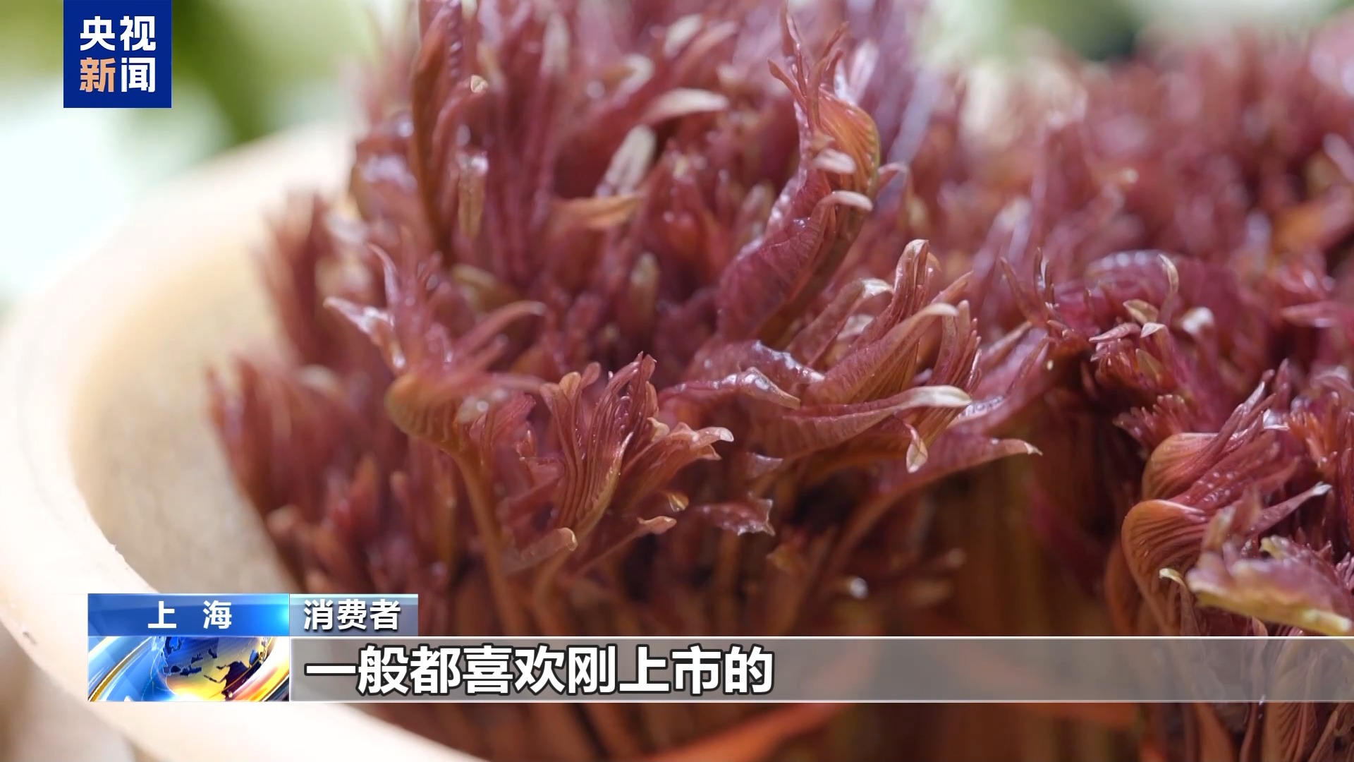 
浙江中医药第二医院黄牛代挂号电话票贩子号贩子网上预约挂号,住院检查加快,“春天”快到“碗”里来 小众春蔬+融合菜激活“舌尖”经济