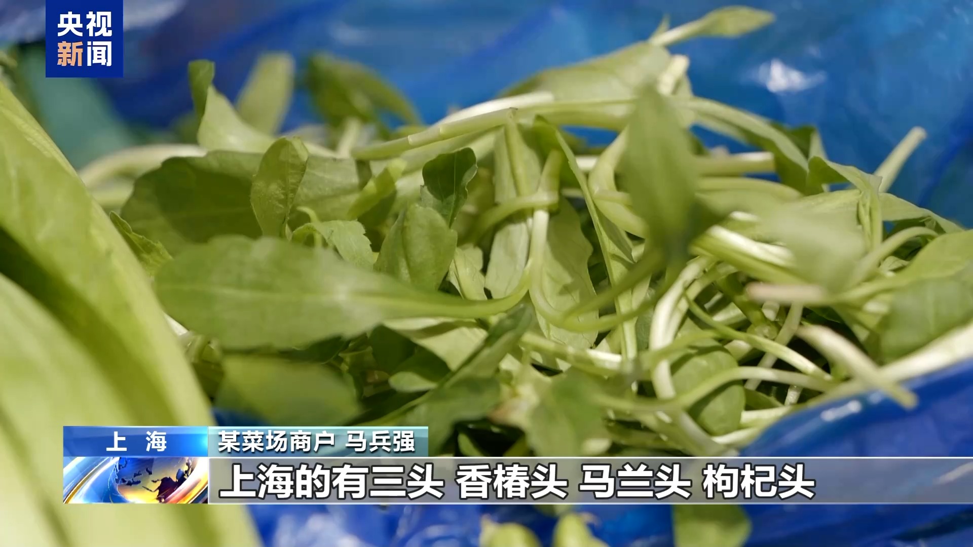 
浙江中医药第二医院黄牛代挂号电话票贩子号贩子网上预约挂号,住院检查加快,“春天”快到“碗”里来 小众春蔬+融合菜激活“舌尖”经济