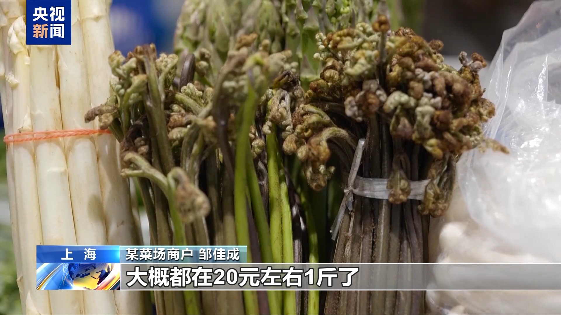 
浙江中医药第二医院黄牛代挂号电话票贩子号贩子网上预约挂号,住院检查加快,“春天”快到“碗”里来 小众春蔬+融合菜激活“舌尖”经济