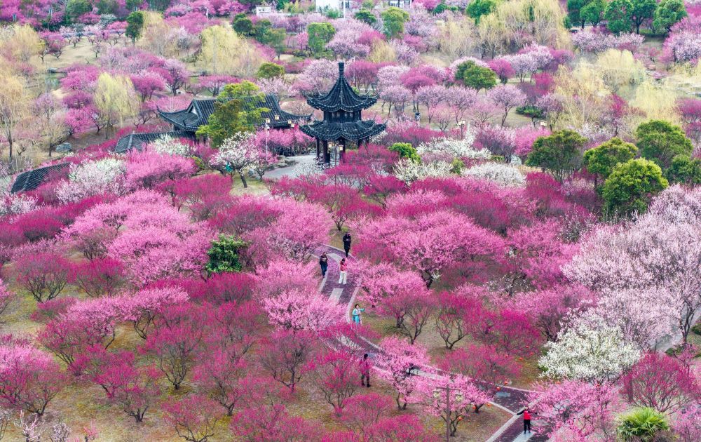 
首都医科大学附属阜外医院黄牛代挂号电话票贩子号贩子网上预约挂号,住院检查加快,“颜值”变“产值” “赏花+”催动文旅消费活力