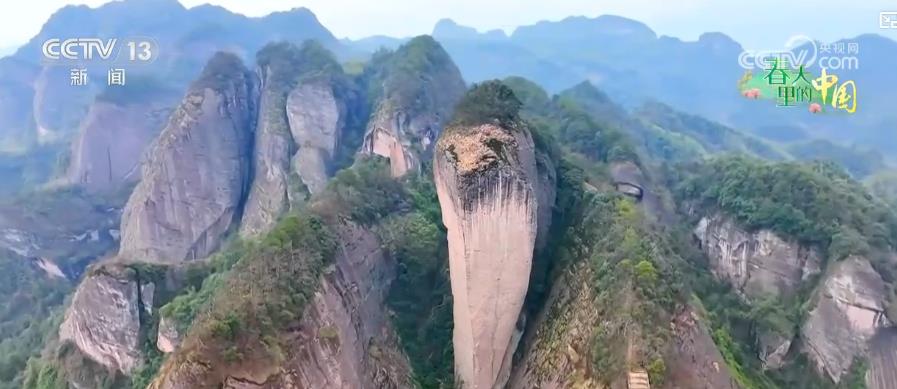 
广东省人民医院黄牛代挂号电话票贩子号贩子网上预约挂号,住院检查加快,一朵花富一方人 绽放乡村振兴无限可能