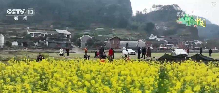 
广东省人民医院黄牛代挂号电话票贩子号贩子网上预约挂号,住院检查加快,一朵花富一方人 绽放乡村振兴无限可能