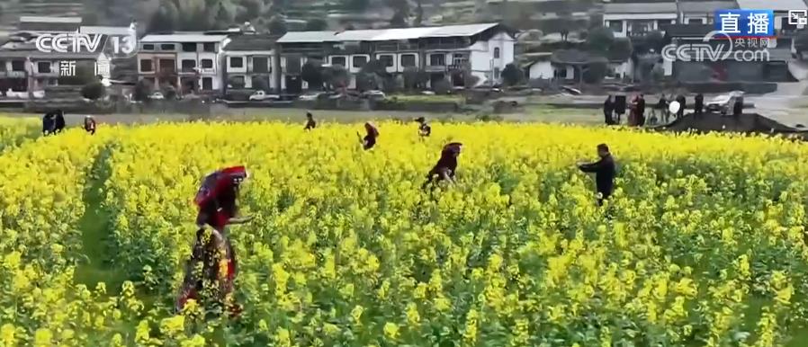 
广东省人民医院黄牛代挂号电话票贩子号贩子网上预约挂号,住院检查加快,一朵花富一方人 绽放乡村振兴无限可能