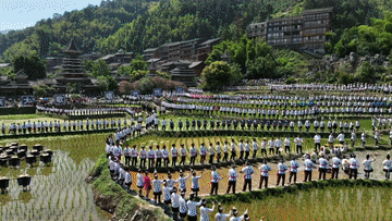 北京儿童医院黄牛代挂号电话票贩子号贩子网上预约挂号,住院检查加快,这就是黎平!