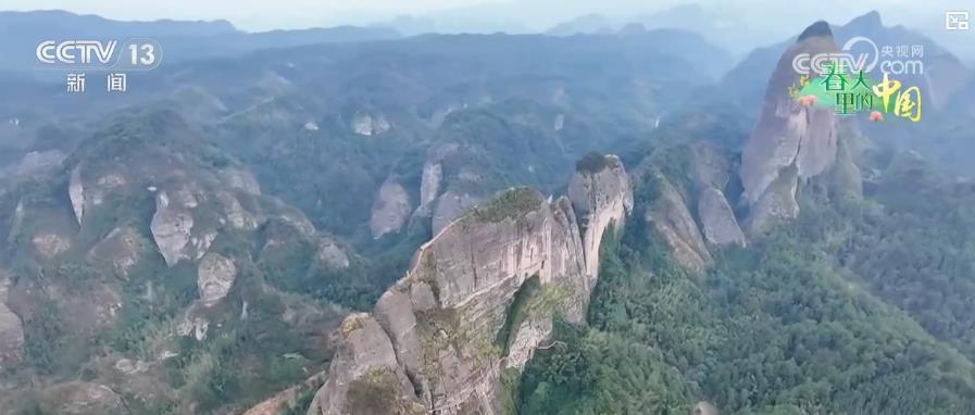 
广东省人民医院黄牛代挂号电话票贩子号贩子网上预约挂号,住院检查加快,一朵花富一方人 绽放乡村振兴无限可能