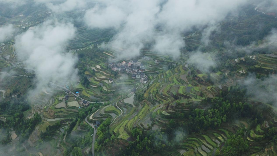 北京儿童医院黄牛代挂号电话票贩子号贩子网上预约挂号,住院检查加快,这就是黎平!