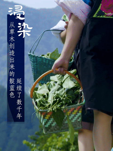 
浙江省中医院黄牛代挂号电话票贩子号贩子网上预约挂号,住院检查加快,一眼心动的中国｜多彩贵州的“蓝白之美”