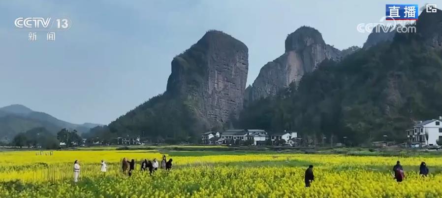 
广东省人民医院黄牛代挂号电话票贩子号贩子网上预约挂号,住院检查加快,一朵花富一方人 绽放乡村振兴无限可能