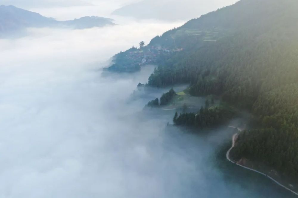 
北京儿童医院黄牛代挂号电话票贩子号贩子网上预约挂号,住院检查加快,这就是黎平！
