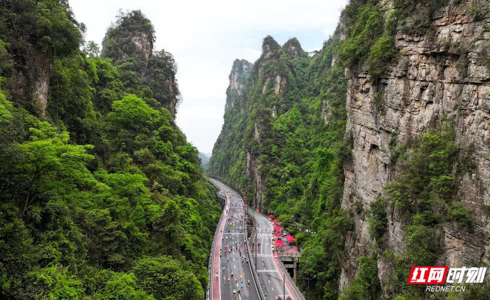 
沈阳医大一院黄牛代挂号电话票贩子号贩子网上预约挂号,住院检查加快,好评中国丨补上消费短板，写好“民生账本”