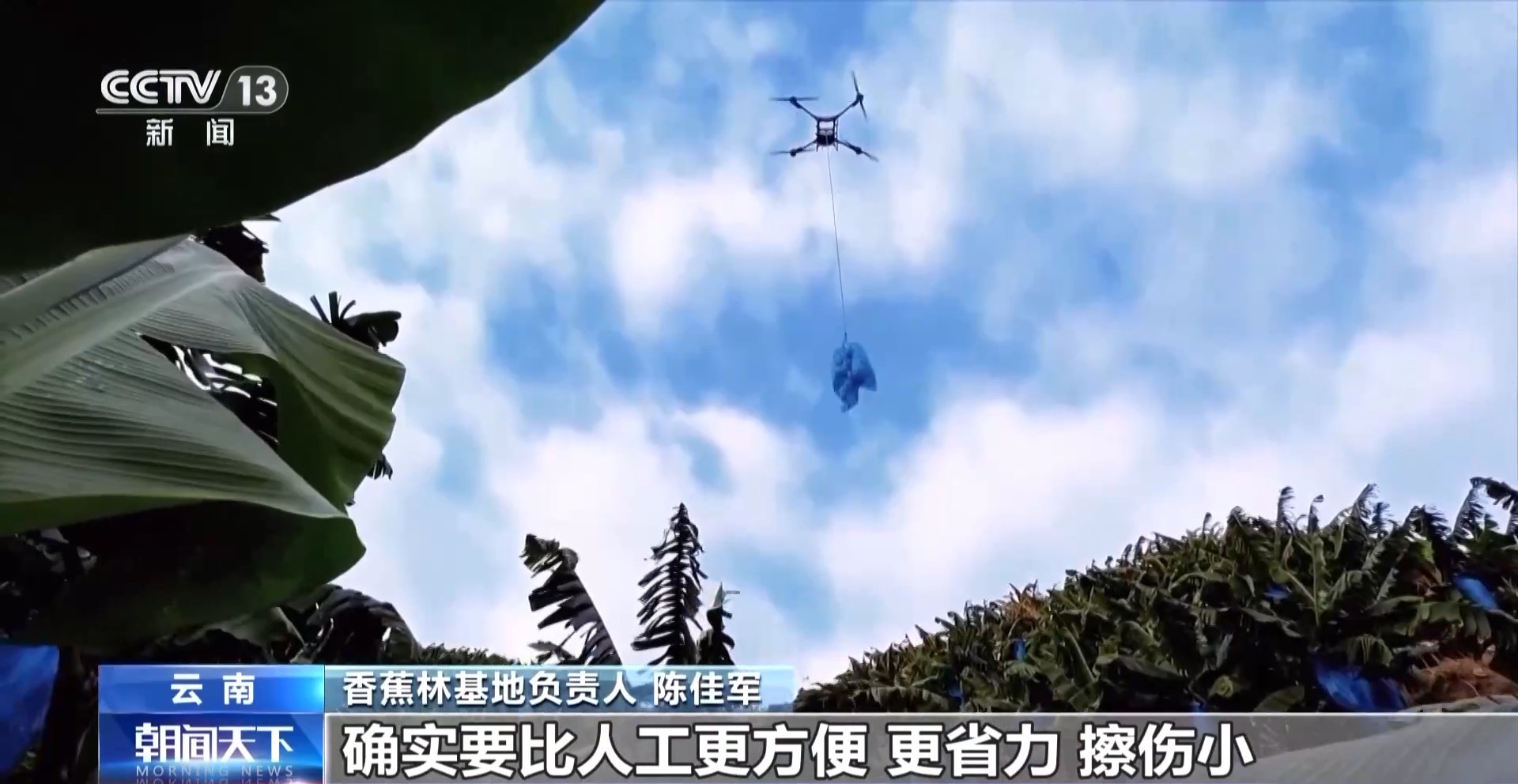 
首都医科大学附属阜外医院黄牛代挂号电话票贩子号贩子网上预约挂号,住院检查加快,奋斗在春天里丨“一键起飞” 看看春耕里的科技范儿