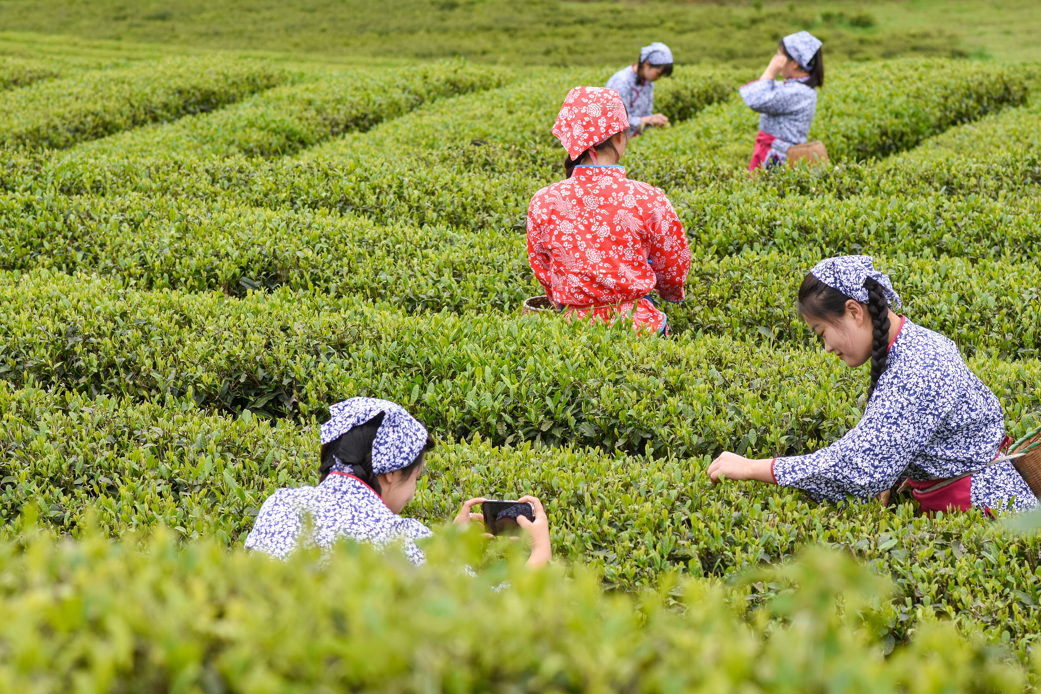 
北医六院黄牛代挂号电话票贩子号贩子网上预约挂号,住院检查加快,联播+｜串珠成链 总书记为县域经济发展开良方