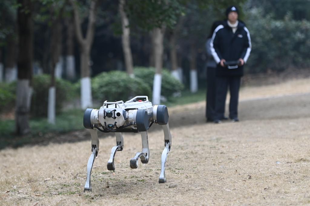 
北京肿瘤医院黄牛代挂号电话票贩子号贩子网上预约挂号,住院检查加快,从开局“成绩单”感受中国经济活力