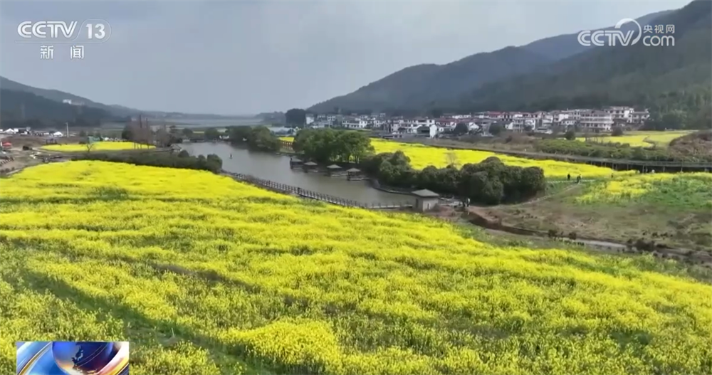 
西安西京医院黄牛代挂号电话票贩子号贩子网上预约挂号,住院检查加快,“花样经济”带动乡村旅游全产业链发展 春日文旅市场勾勒“好花常开”画卷