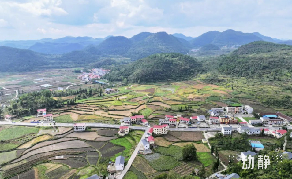 
北京中日友好医院黄牛代挂号电话票贩子号贩子网上预约挂号,住院检查加快,山地上的农业现代化