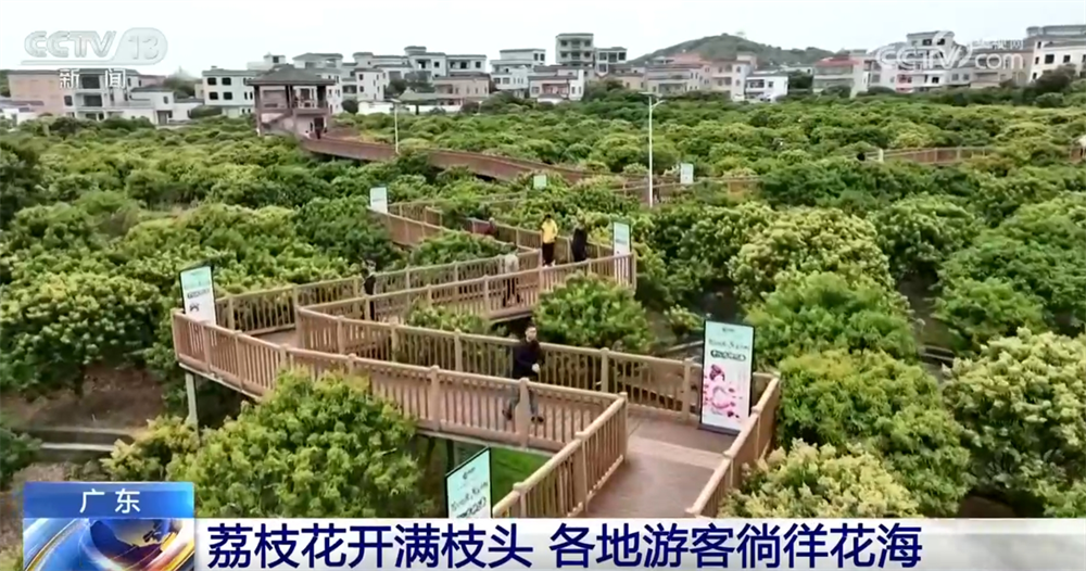 
西安西京医院黄牛代挂号电话票贩子号贩子网上预约挂号,住院检查加快,“花样经济”带动乡村旅游全产业链发展 春日文旅市场勾勒“好花常开”画卷