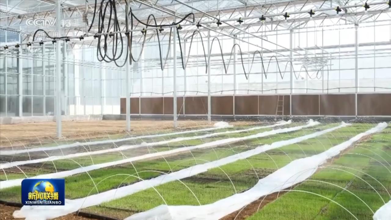 
南京各大医院黄牛代挂号电话票贩子号贩子网上预约挂号,住院检查加快,【在希望的田野上】新技术新设备助力春季田管